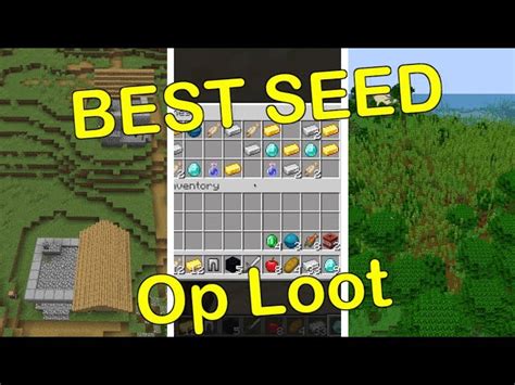 awesome minecraft seeds|The best Minecraft seeds for 1.21 (2024) .